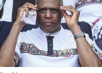 IFP President Velenkosini Hlabisa Urges Youth to Prioritize Education Amid Concerns Over Foreign Domination