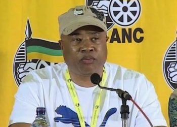 Tony Yengeni Criticizes MPs for Failing to Protect State-Owned Assets Amid Privatization Concerns