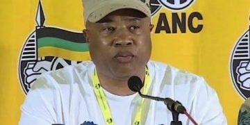 Tony Yengeni Criticizes MPs for Failing to Protect State-Owned Assets Amid Privatization Concerns
