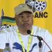 Tony Yengeni Criticizes MPs for Failing to Protect State-Owned Assets Amid Privatization Concerns