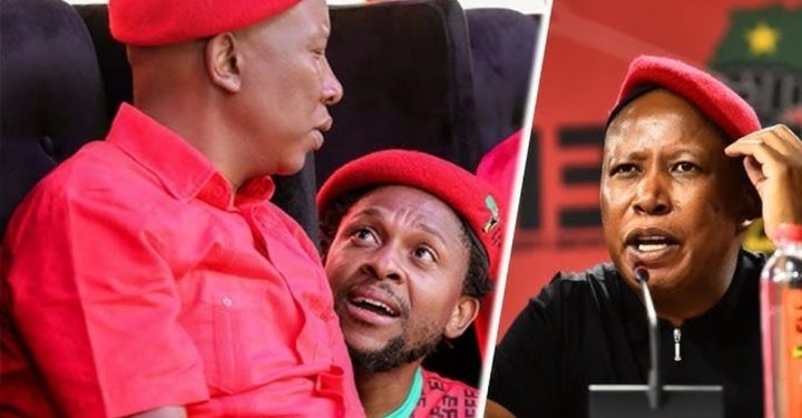 Julius Malema Addresses Ndlozi’s Absence Amid EFF Conference Speculation