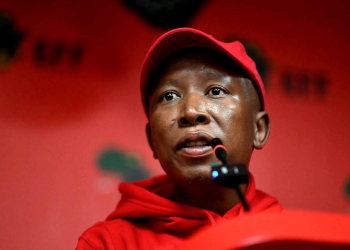 Malema’s Accusation of Bias in High Court Sparks Heated Debate