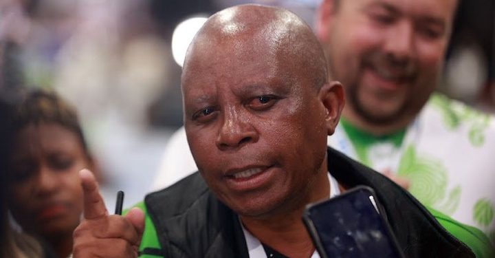 Mashaba Calls on Illegal Foreigners to Focus Their Efforts on Their Home Countries Amid Spaza Shop Controversy