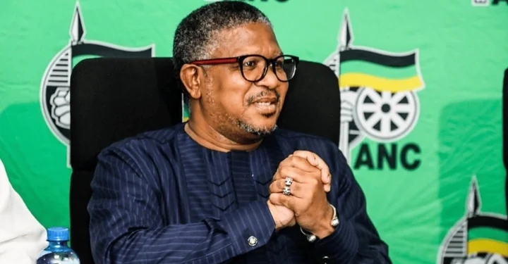 ANC’s Mbalula Vows to Combat Counterfeit Goods in South Africa