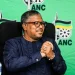 ANC’s Mbalula Vows to Combat Counterfeit Goods in South Africa