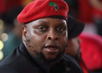 Fikile Mbalula Accuses Prince Mashele of Being a “Hired Gun” Amid R12 Million Allegations