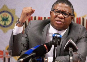 Mbalula Dismisses Zuma’s Rigging Claims as Baseless Ahead of 2024 Elections