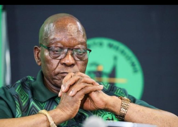 ANC Triumphs in Msunduzi Ward 2, Shaking Up Local Political Dynamics