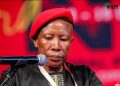Julius Malema Named “Loser of the Year” Amid Criticism Over ANC’s Declining Support