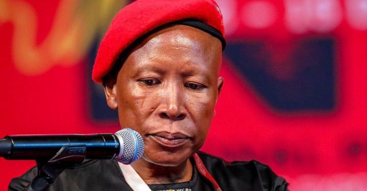 Julius Malema Named “Loser of the Year” Amid Criticism Over ANC’s Declining Support