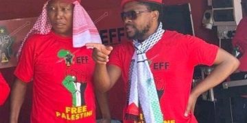 Alleged Tensions Between Julius Malema and Mbuyiseni Ndlozi Spark Debate Within EFF