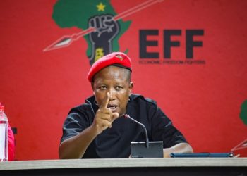 Malema Sparks Debate on Undocumented White Immigrants in South Africa