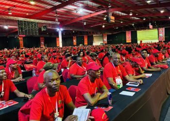 EFF Student Leader Urges Malema to Resist Calls to Dissolve Party Amid MK Party Pressure