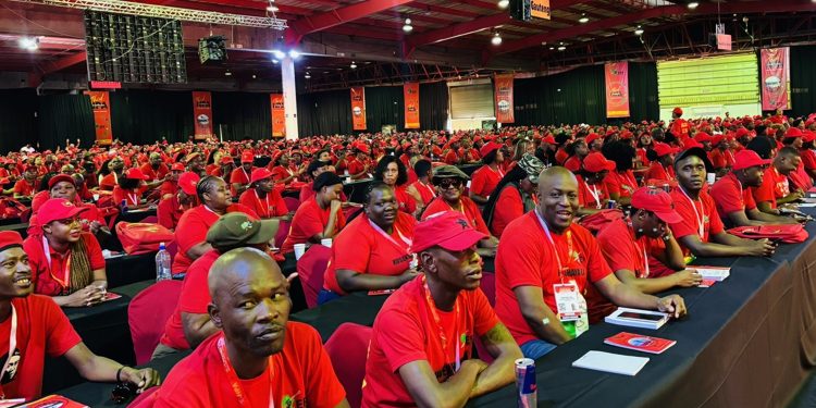 EFF Student Leader Urges Malema to Resist Calls to Dissolve Party Amid MK Party Pressure