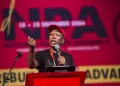 Malema Predicts ANC Shift Against Government of National Unity in 2027
