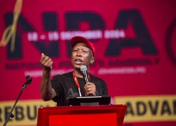 Malema Predicts ANC Shift Against Government of National Unity in 2027