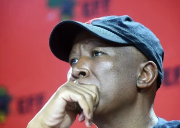 EFF Faces Scrutiny Ahead of Key Conference: Analyst Doubts Party’s Governing Prospects