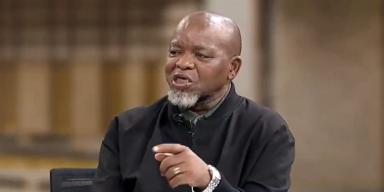 Ruppert Stirs Controversy, Urges DA to Cede Power to EFF in Coalition Governments