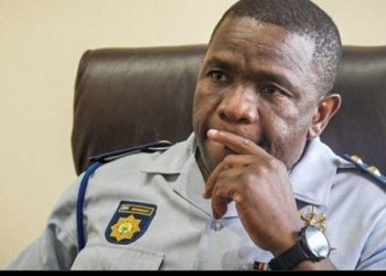 Thandeka Mkhwanazi Proposes Reconciliation Between Police and Criminals to Address Violent Crime