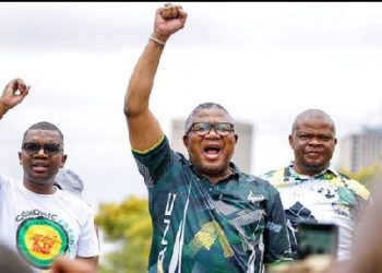 ANC Reaffirms Call to Protect Spaza Shop Sector for South Africans