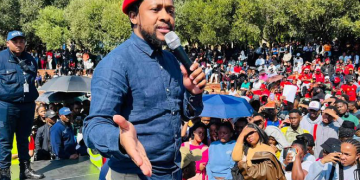 Mbuyiseni Ndlozi Sparks Speculation After Removing “EFF MP” From Twitter Bio