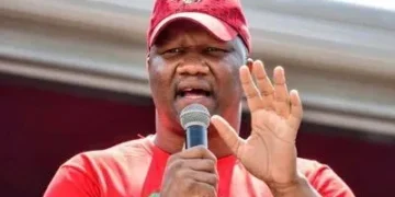 EFF Secretary-General Marshall Dlamini Showers Shivambu and Ndlozi with Praise at Elective Conference