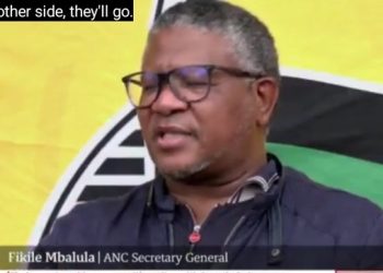 ANC Faces Internal Shake-Up Amid Allegations of Political Purge