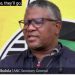 ANC Faces Internal Shake-Up Amid Allegations of Political Purge