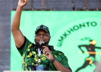 Shivambu Claims Founding Role in EFF, Sparks Rift with Malema