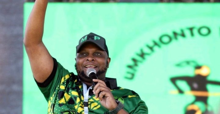 Shivambu Claims Founding Role in EFF, Sparks Rift with Malema