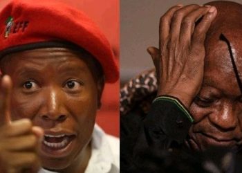Julius Malema Rejects Jacob Zuma Ties, Criticizes ANC Offshoots