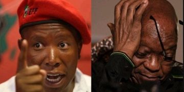 Julius Malema Rejects Jacob Zuma Ties, Criticizes ANC Offshoots