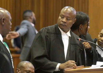 “You Lied Under Oath” Senzo Trial Heats Up as Advocate Mnisi Challenges Witness Over Affidavit Claims