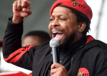 It’s time for Ndlozi to leave the EFF