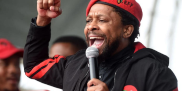 It’s time for Ndlozi to leave the EFF