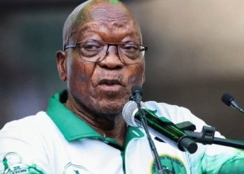 EFF Takes Legal Action Against Jacob Zuma Over Alleged Evasion of Justice