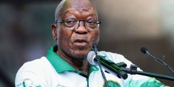 EFF Takes Legal Action Against Jacob Zuma Over Alleged Evasion of Justice