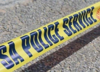 Eastern Cape Police Officer Fatally Shot While Assisting Stranded Motorist in Gqeberha