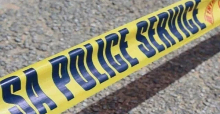 Eastern Cape Police Officer Fatally Shot While Assisting Stranded Motorist in Gqeberha