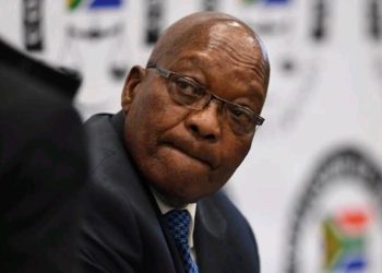 Jacob Zuma’s Strategy to Regain Influence Over ANC Unveiled