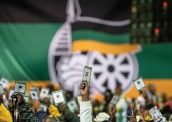 City of Cape Town Addresses Safety Concerns Over Mandela Park Stadium for ANC Anniversary Event