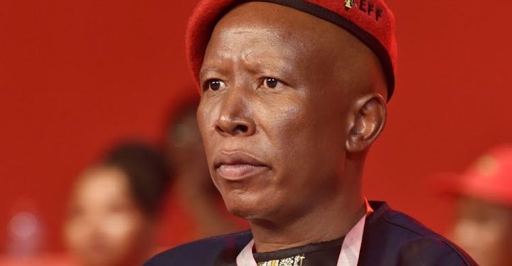 Malema Firearm Trial Postponed Due to Magistrate’s Ill Health