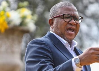 Fikile Mbalula’s Legal Battle: A Turning Point in His Political Career