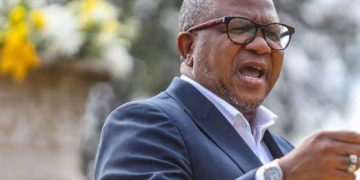Fikile Mbalula’s Legal Battle: A Turning Point in His Political Career