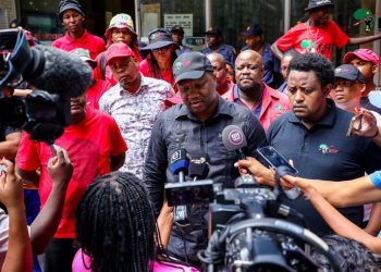 EFF Files Corruption Case Against Public Works Minister Dean Macpherson