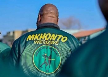 Floyd Shivambu: Revolutionary or Divisive Disruptor in South African Politics?