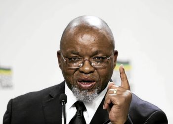 Mantashe Urges Tougher Measures to Tackle Illegal Mining in South Africa