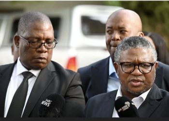 Mbalula’s Strategy to Take Down Gauteng ANC Hits Dead End
