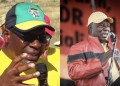 Collen Malatji Tells Solly Mapaila to Join Zuma’s MK Party Amid Alliance Tensions