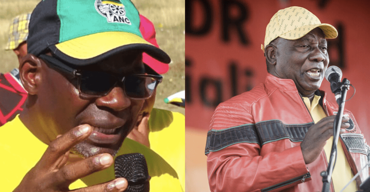 Collen Malatji Tells Solly Mapaila to Join Zuma’s MK Party Amid Alliance Tensions